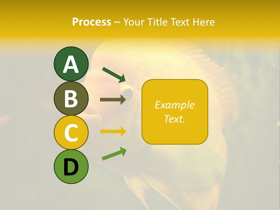 Tropical Wildlife Light PowerPoint Template