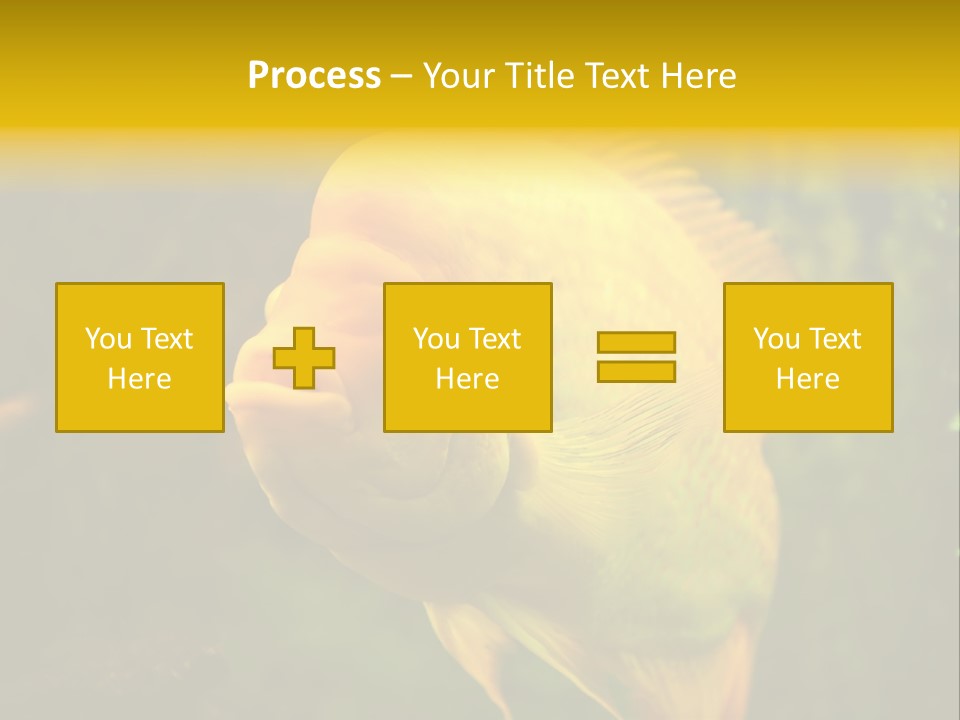 Tropical Wildlife Light PowerPoint Template
