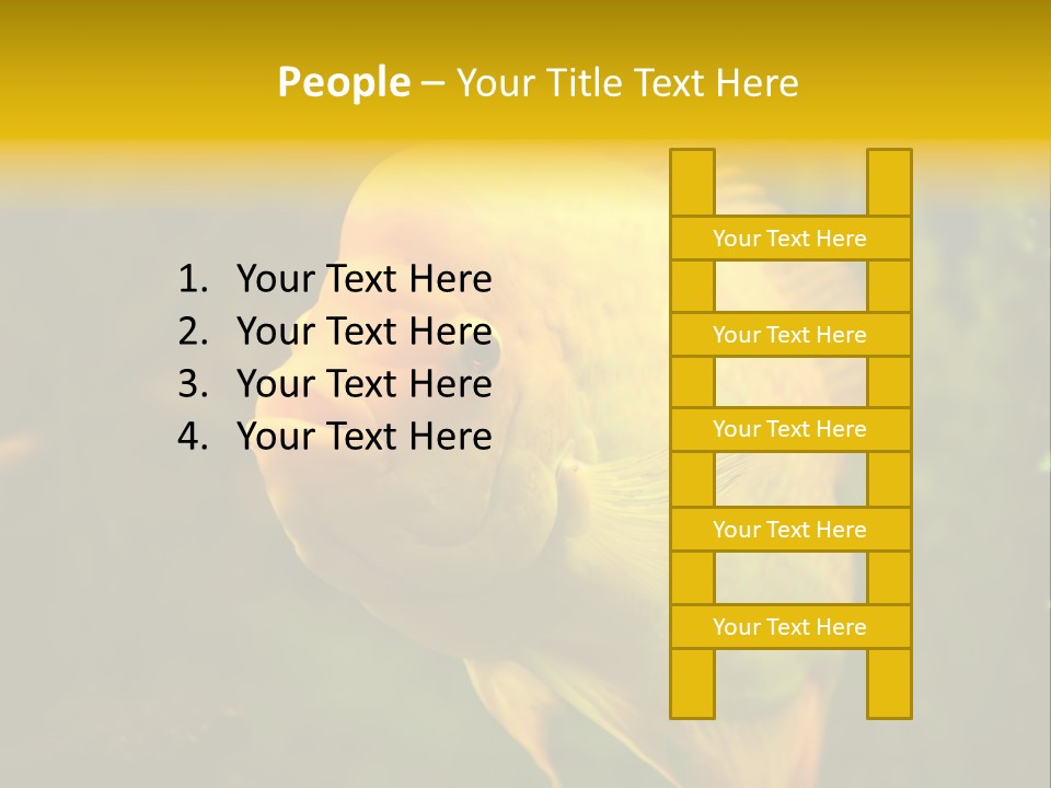 Tropical Wildlife Light PowerPoint Template