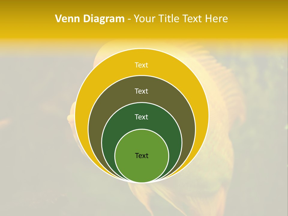 Tropical Wildlife Light PowerPoint Template