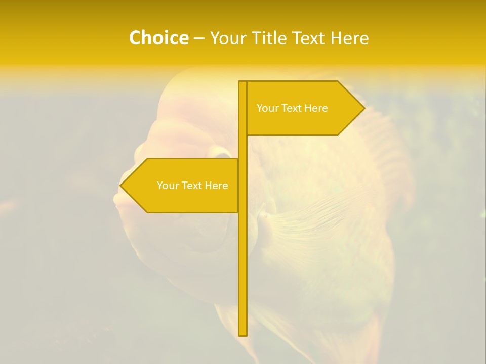 Tropical Wildlife Light PowerPoint Template