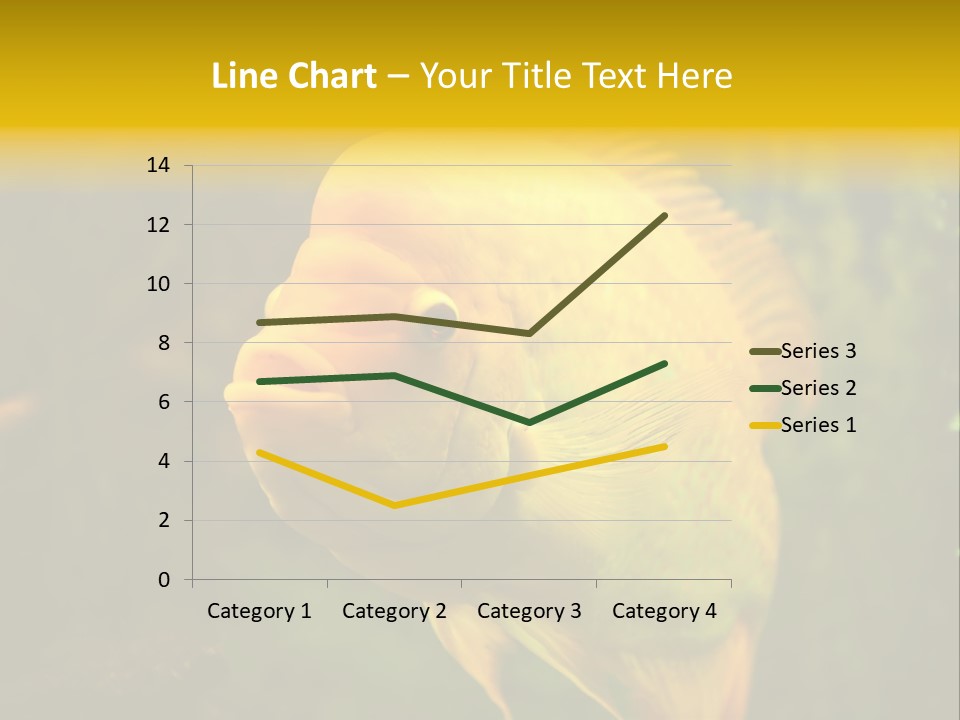 Tropical Wildlife Light PowerPoint Template