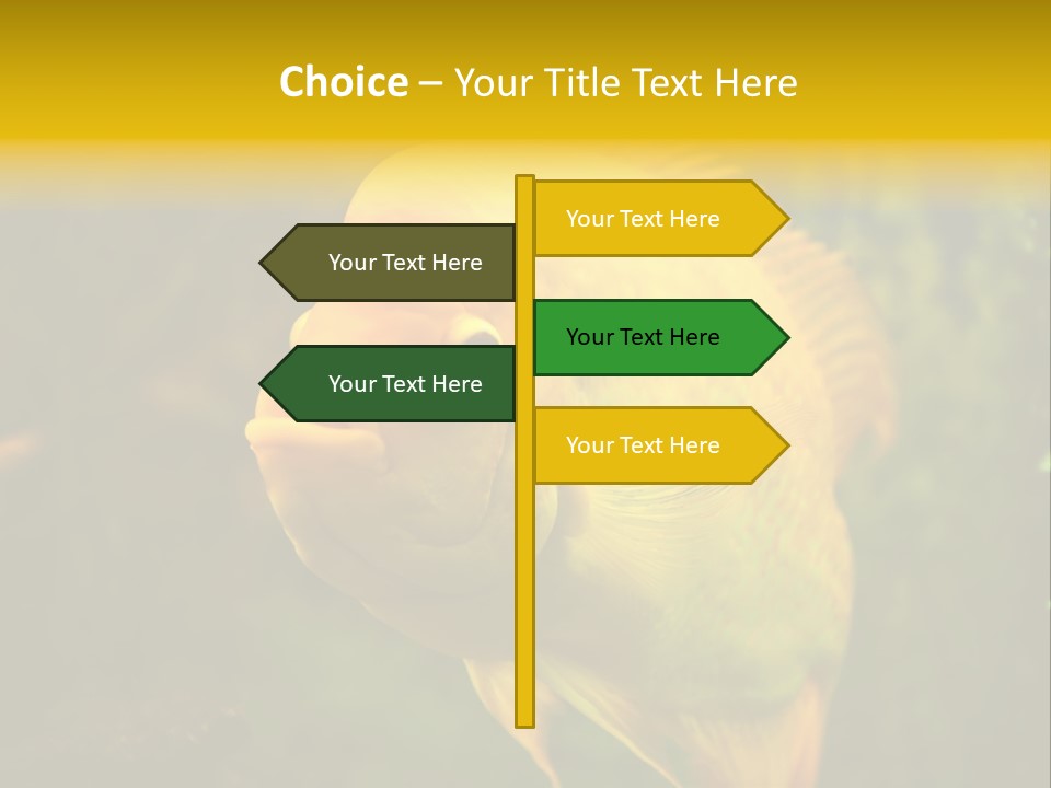 Tropical Wildlife Light PowerPoint Template