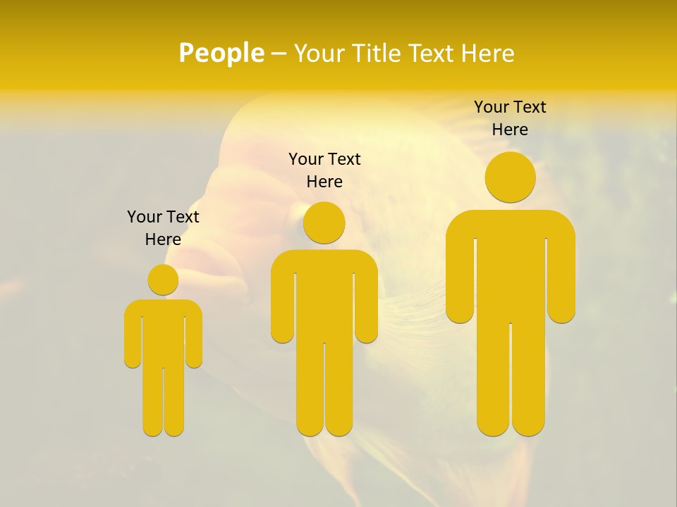 Tropical Wildlife Light PowerPoint Template