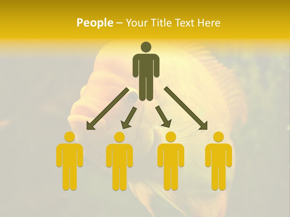 Tropical Wildlife Light PowerPoint Template