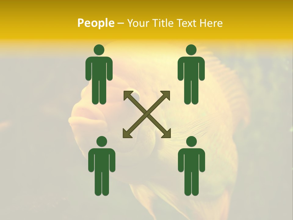 Tropical Wildlife Light PowerPoint Template