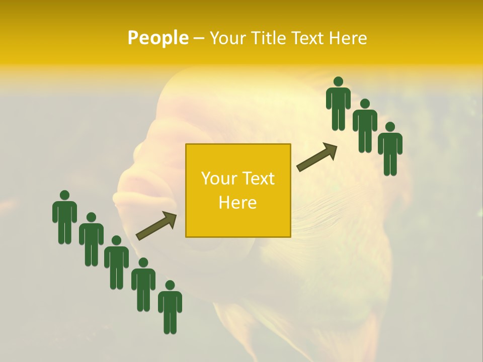 Tropical Wildlife Light PowerPoint Template