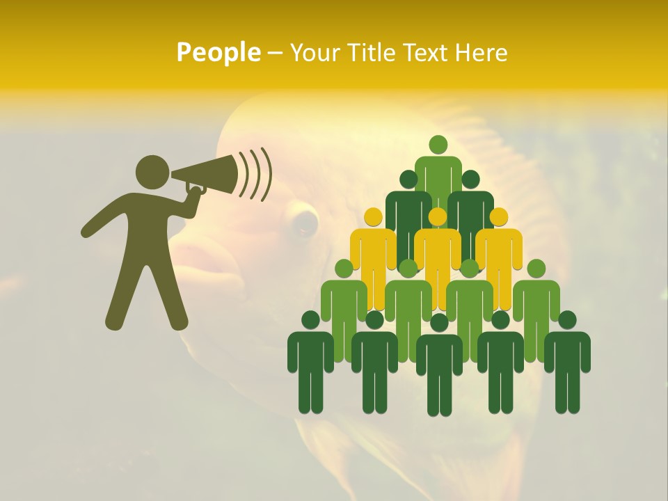 Tropical Wildlife Light PowerPoint Template