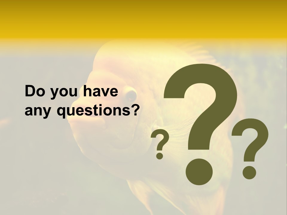 Tropical Wildlife Light PowerPoint Template