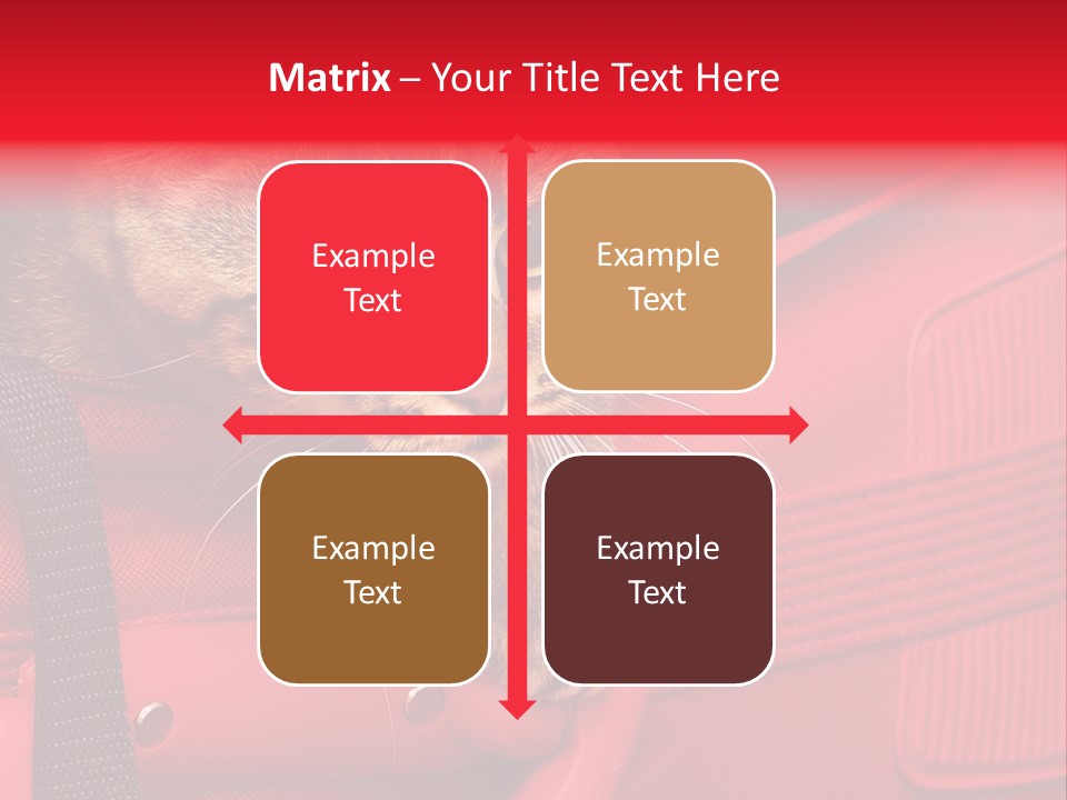 Background Puss Predator PowerPoint Template