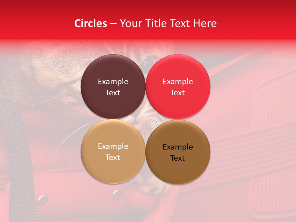 Background Puss Predator PowerPoint Template