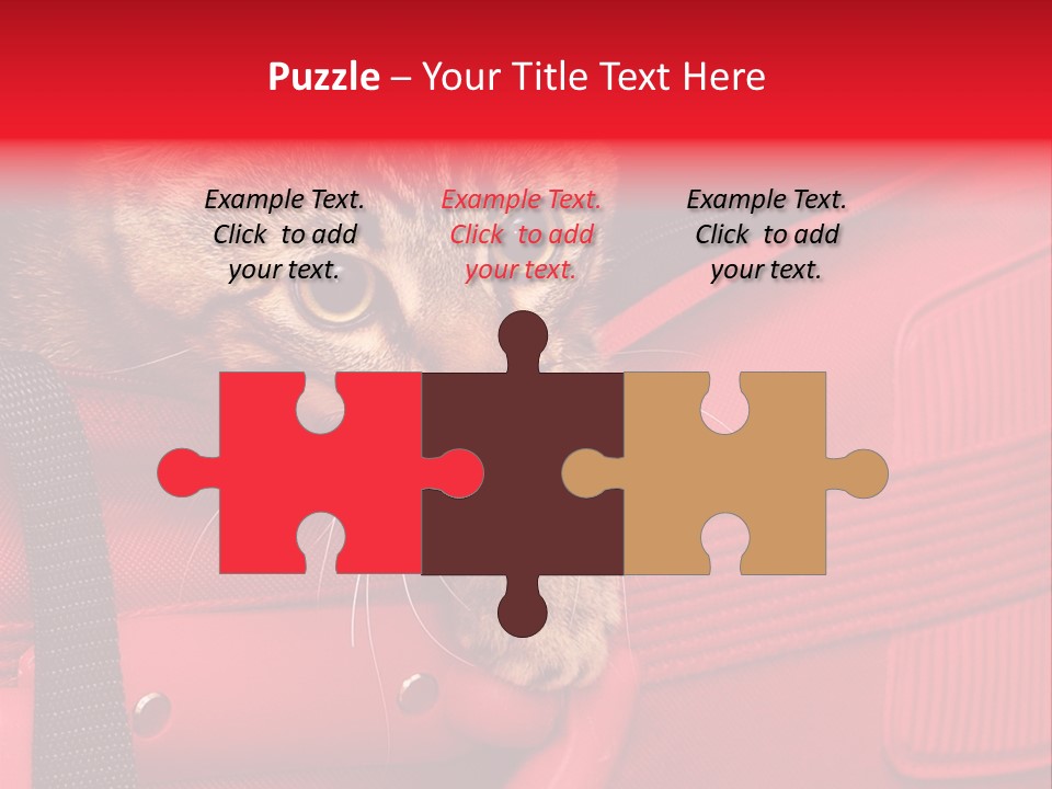 Background Puss Predator PowerPoint Template