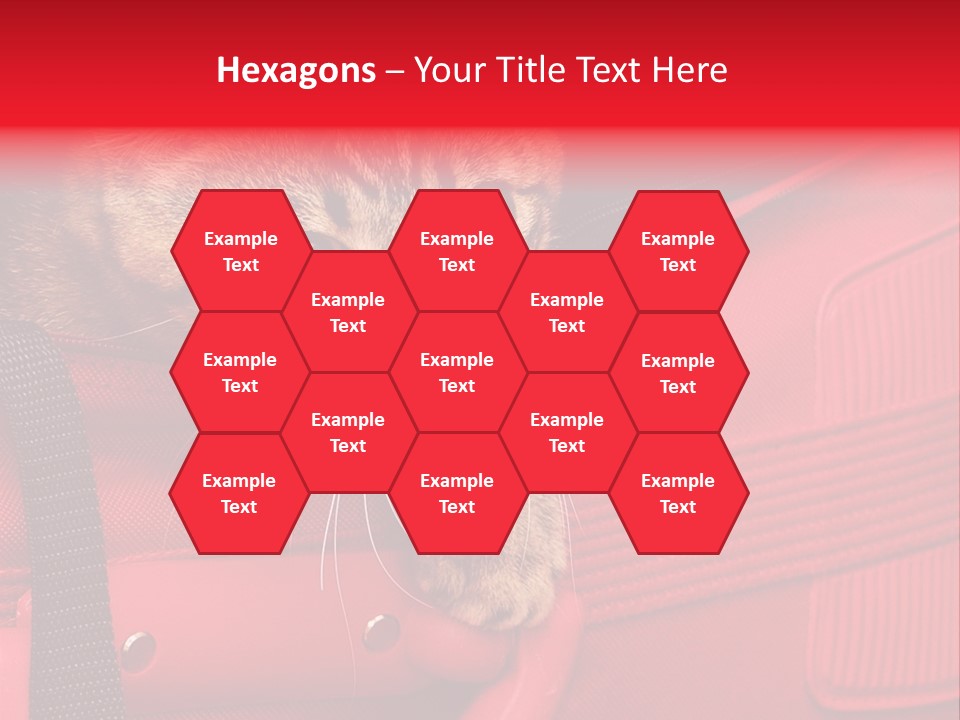 Background Puss Predator PowerPoint Template