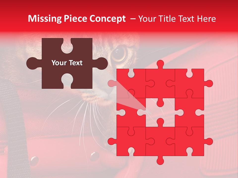 Background Puss Predator PowerPoint Template