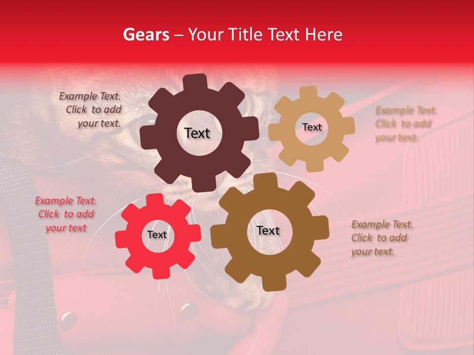 Background Puss Predator PowerPoint Template