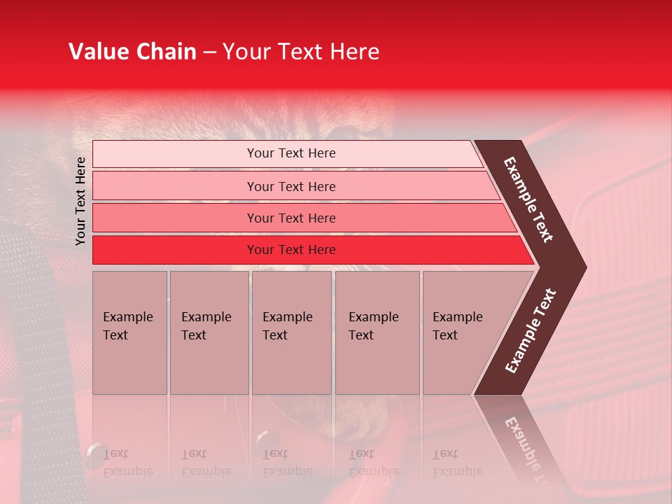 Background Puss Predator PowerPoint Template