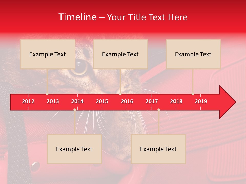 Background Puss Predator PowerPoint Template