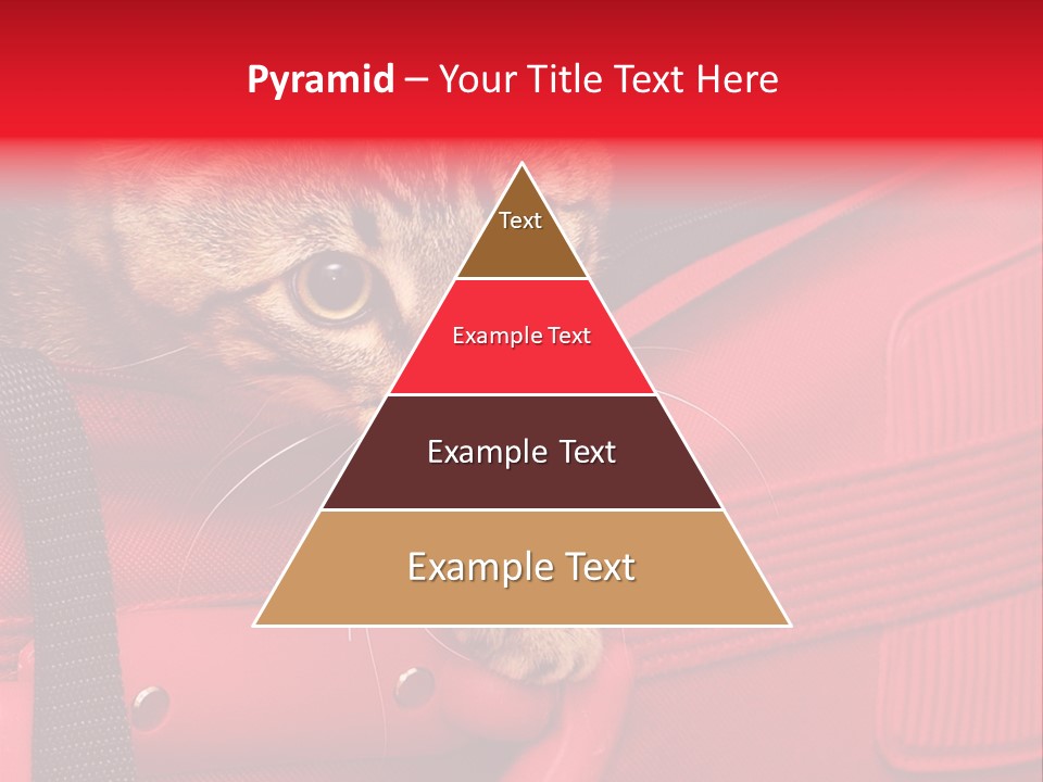 Background Puss Predator PowerPoint Template