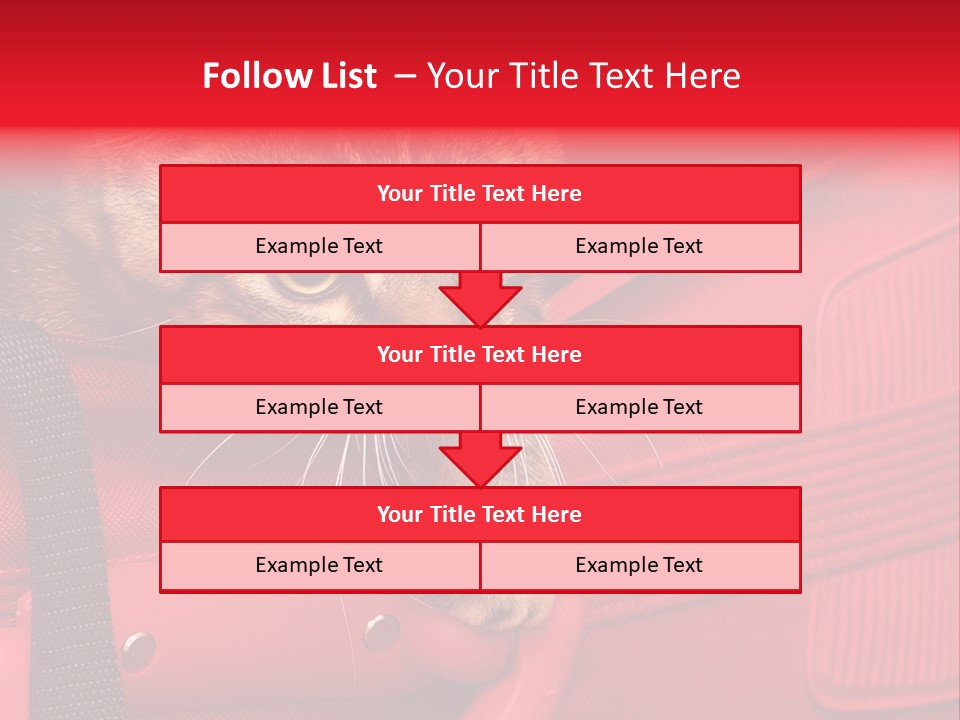Background Puss Predator PowerPoint Template