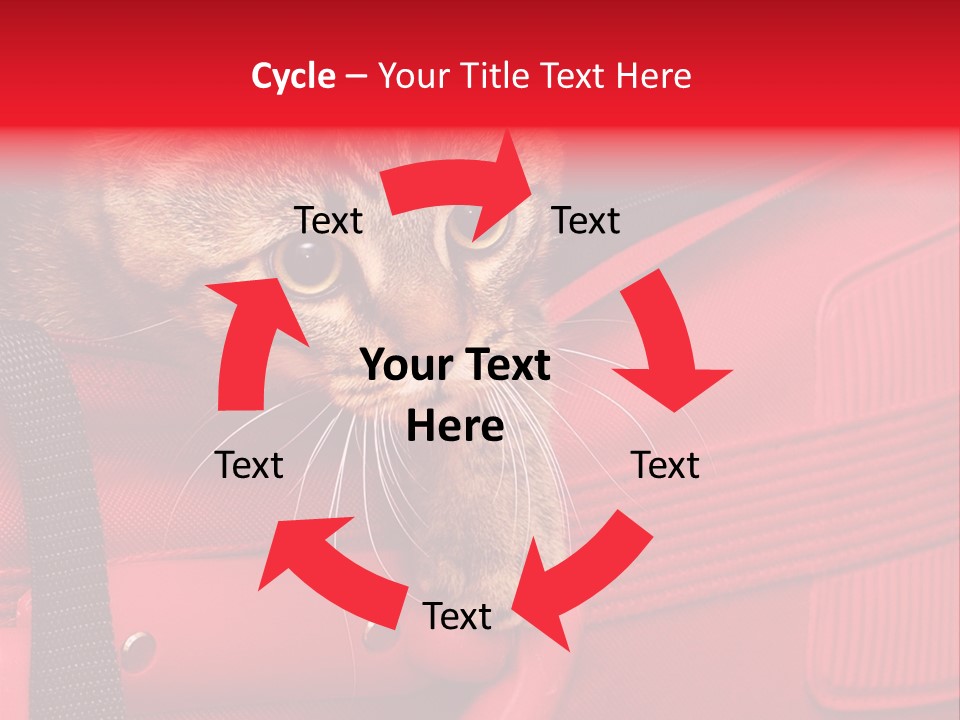 Background Puss Predator PowerPoint Template
