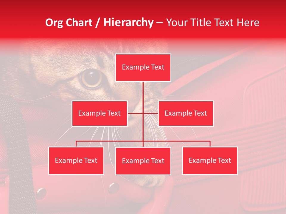 Background Puss Predator PowerPoint Template