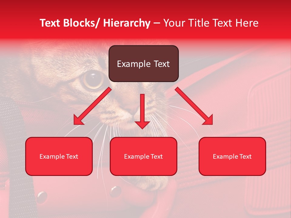 Background Puss Predator PowerPoint Template