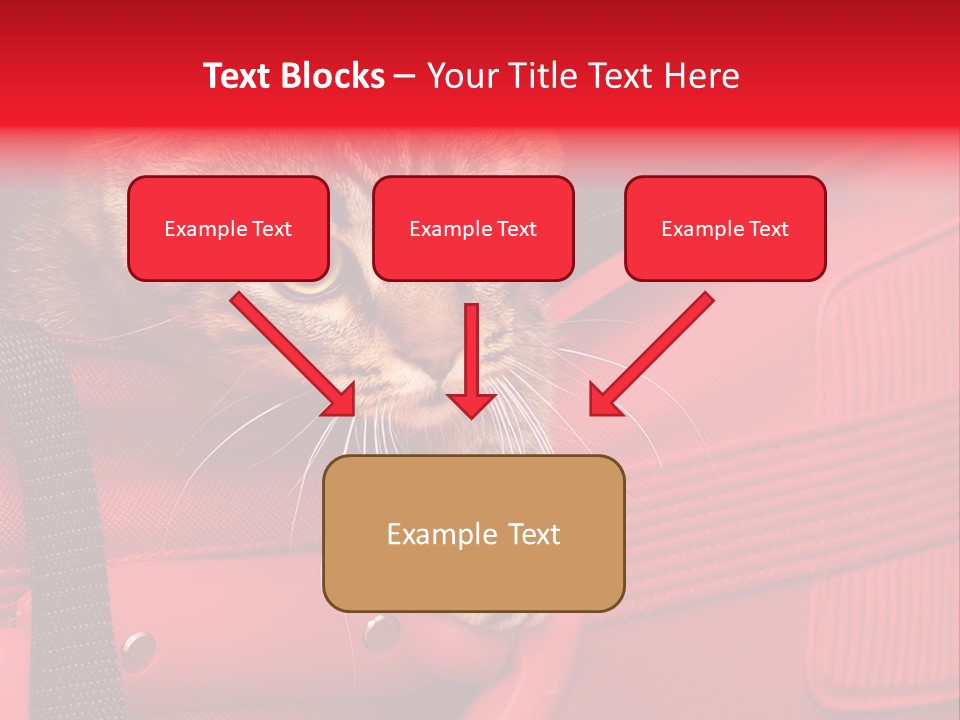 Background Puss Predator PowerPoint Template