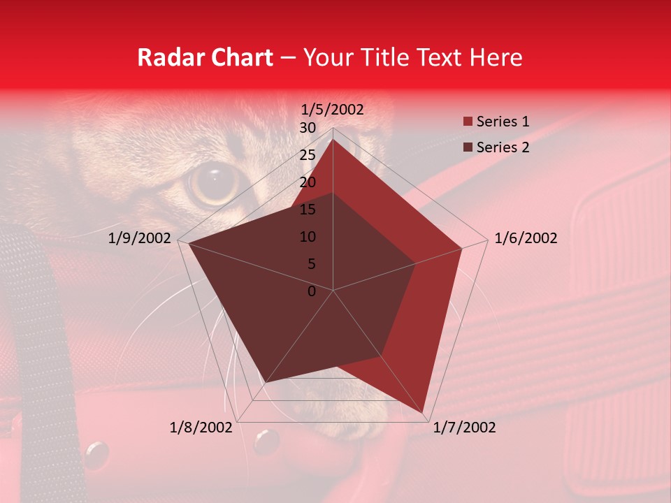 Background Puss Predator PowerPoint Template