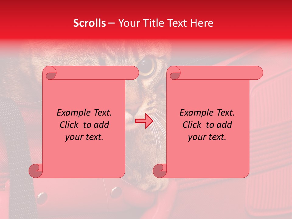 Background Puss Predator PowerPoint Template