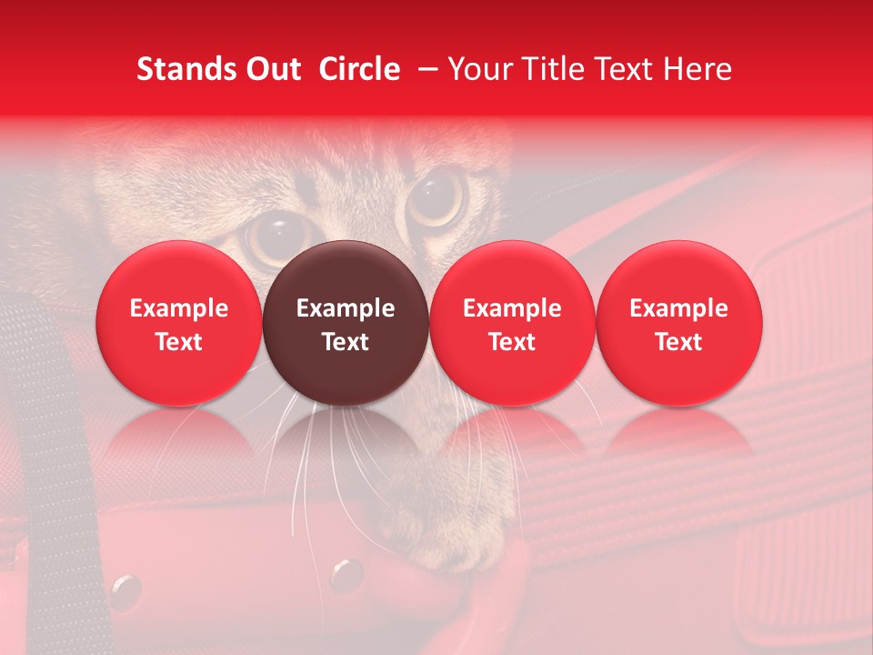 Background Puss Predator PowerPoint Template