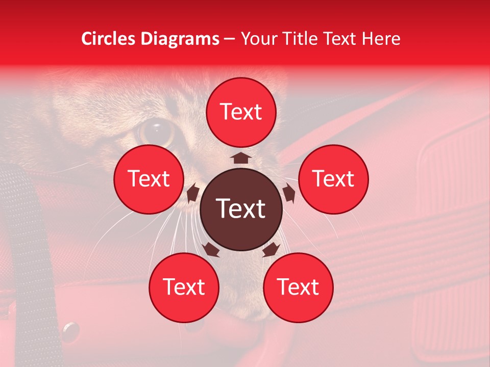 Background Puss Predator PowerPoint Template