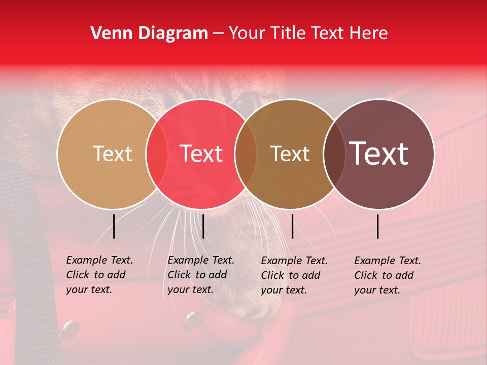 Background Puss Predator PowerPoint Template