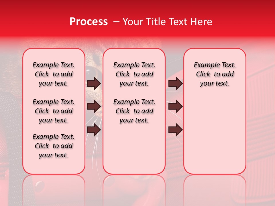 Background Puss Predator PowerPoint Template