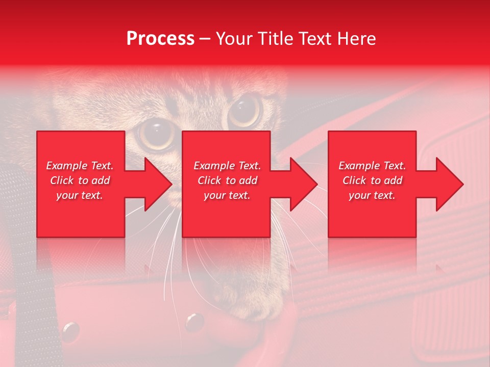 Background Puss Predator PowerPoint Template