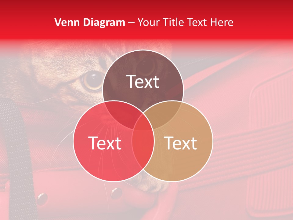 Background Puss Predator PowerPoint Template