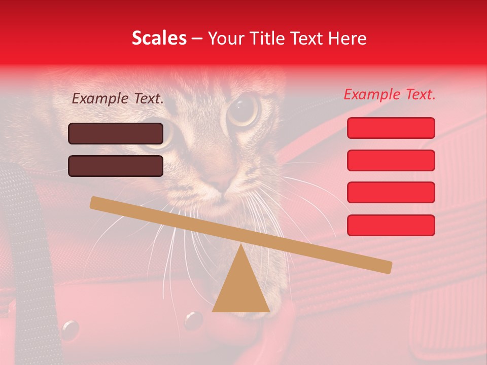 Background Puss Predator PowerPoint Template