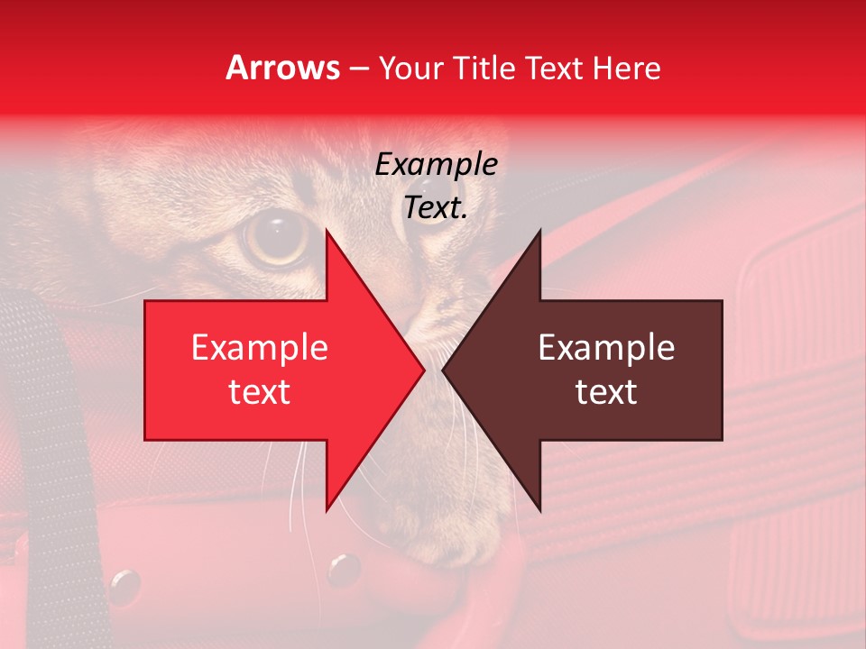 Background Puss Predator PowerPoint Template