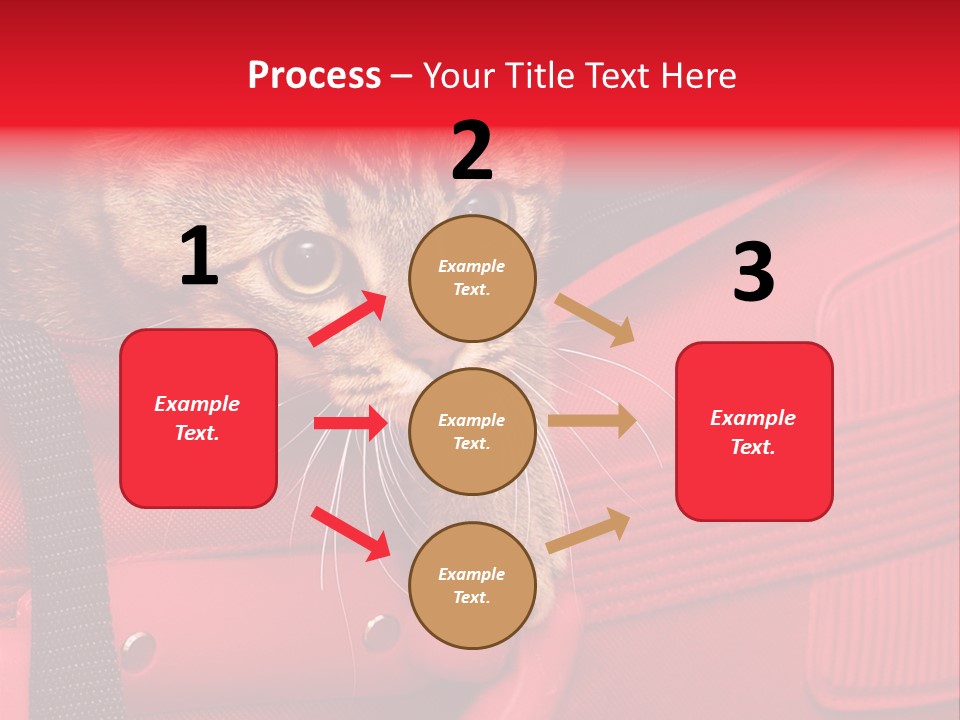 Background Puss Predator PowerPoint Template