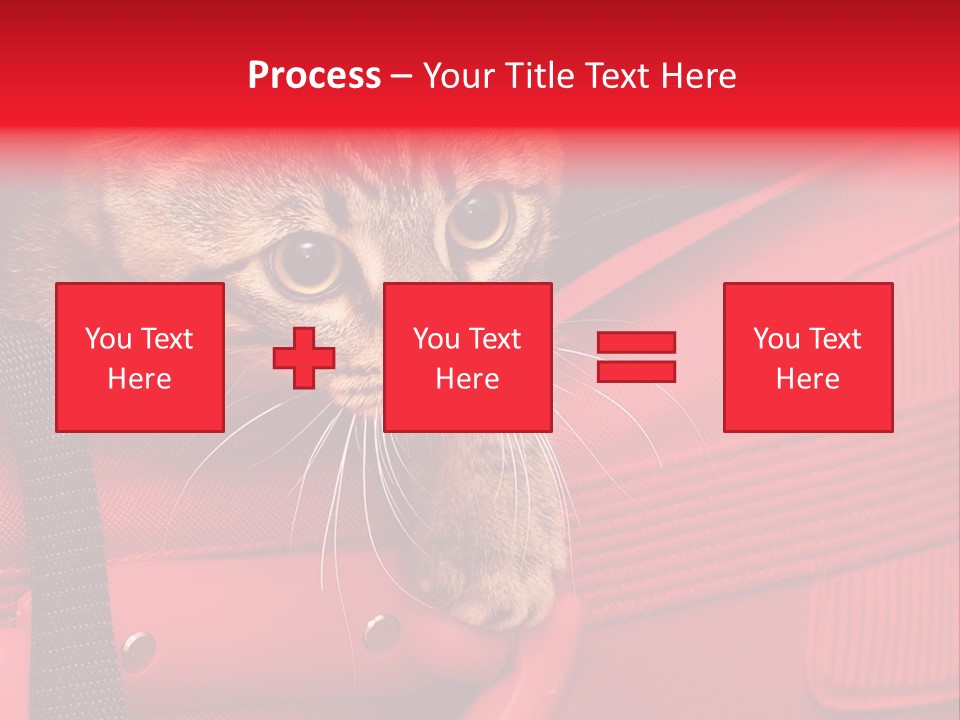 Background Puss Predator PowerPoint Template