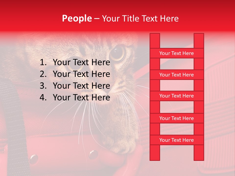 Background Puss Predator PowerPoint Template