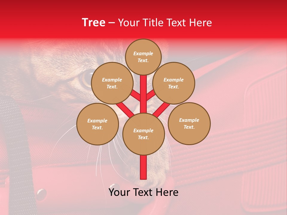 Background Puss Predator PowerPoint Template