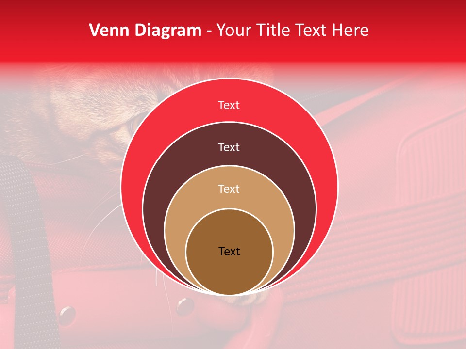 Background Puss Predator PowerPoint Template