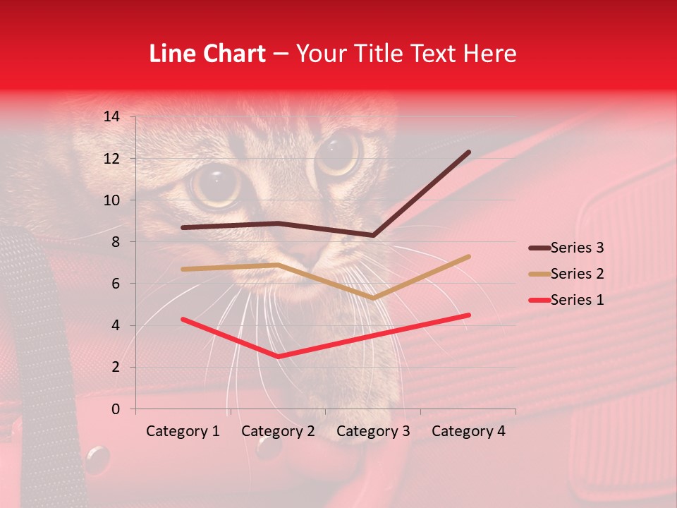 Background Puss Predator PowerPoint Template