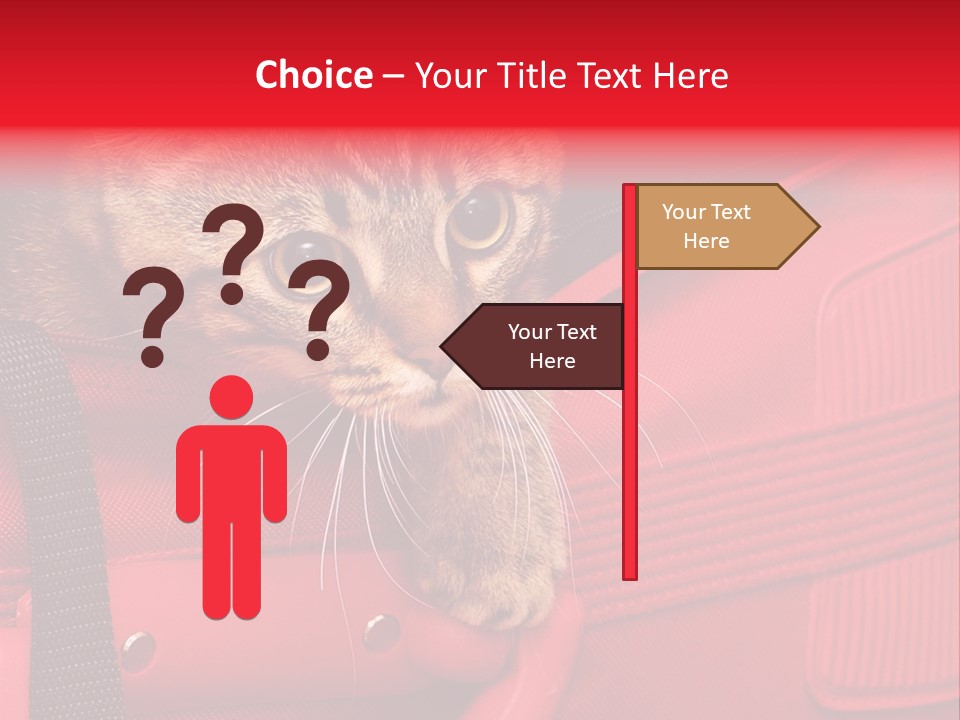 Background Puss Predator PowerPoint Template