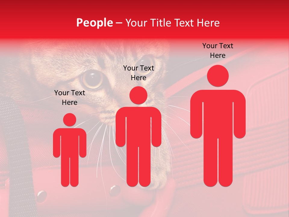 Background Puss Predator PowerPoint Template