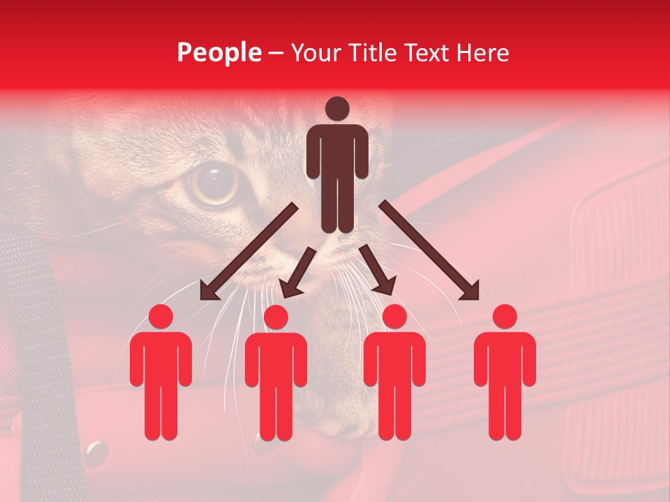 Background Puss Predator PowerPoint Template