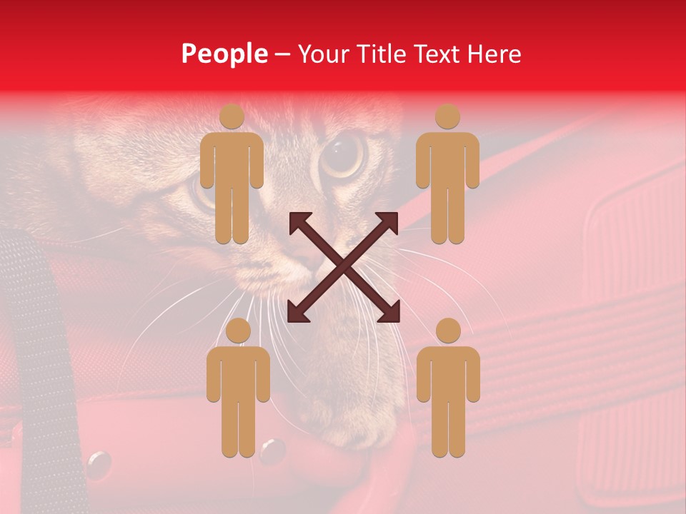 Background Puss Predator PowerPoint Template