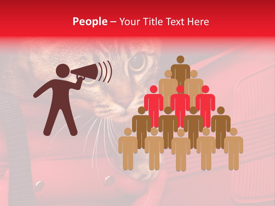 Background Puss Predator PowerPoint Template