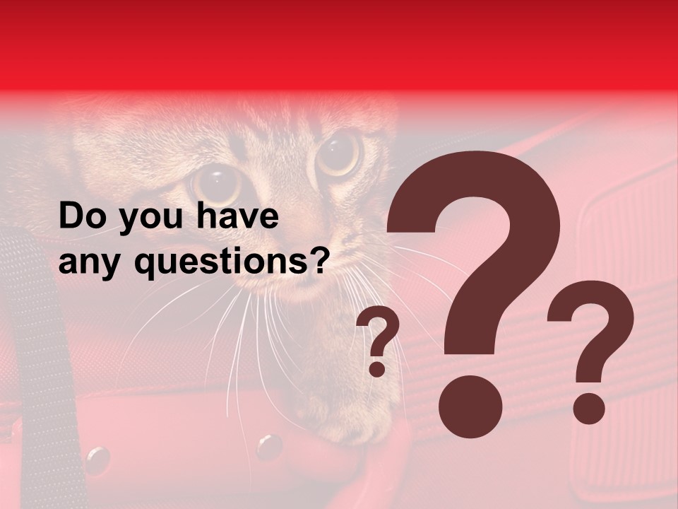 Background Puss Predator PowerPoint Template