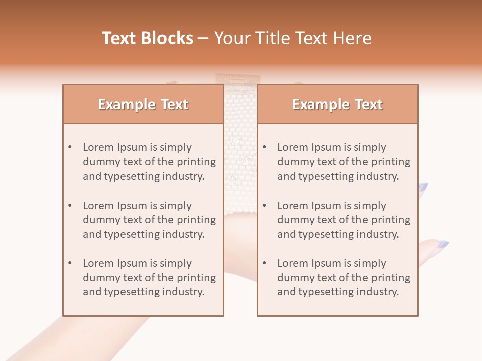 Naildesign Stylish Professional PowerPoint Template